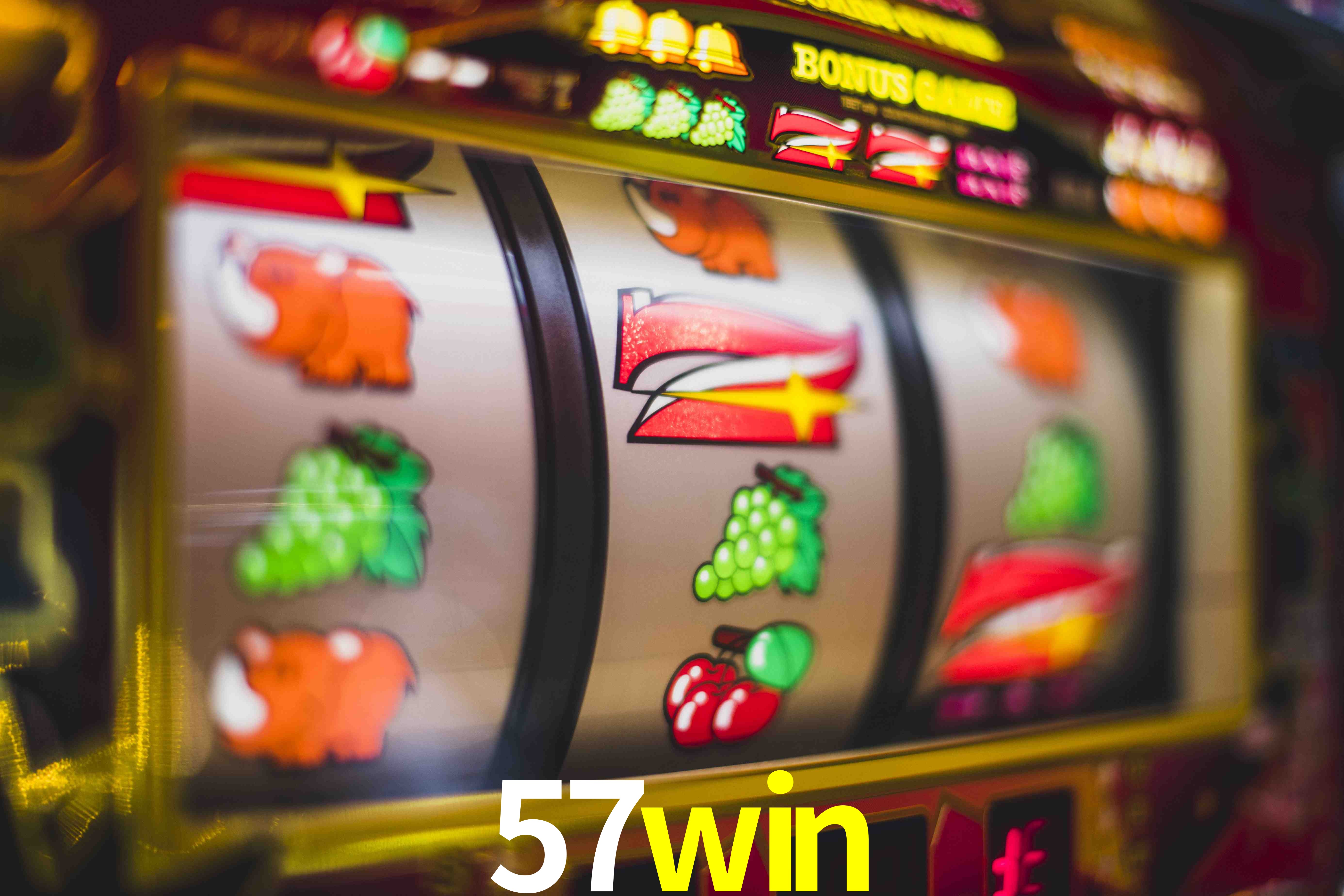 Basketball Betting 57win